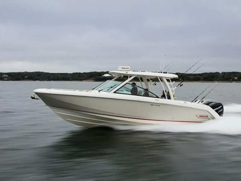 Boston Whaler 2000г