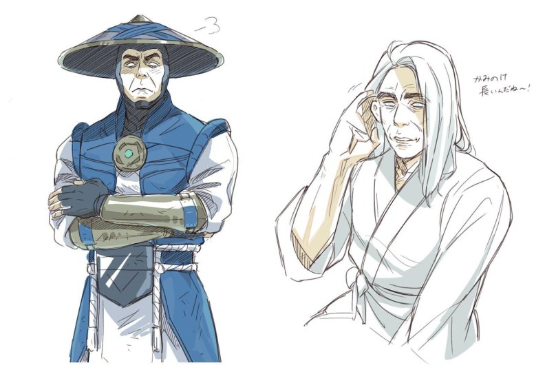 Лорд Рейден арт