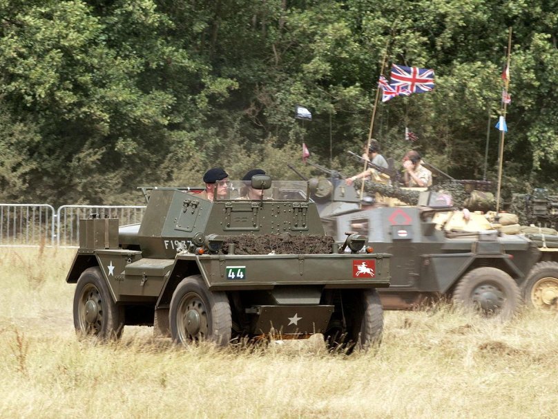 Hercules Dingo picture