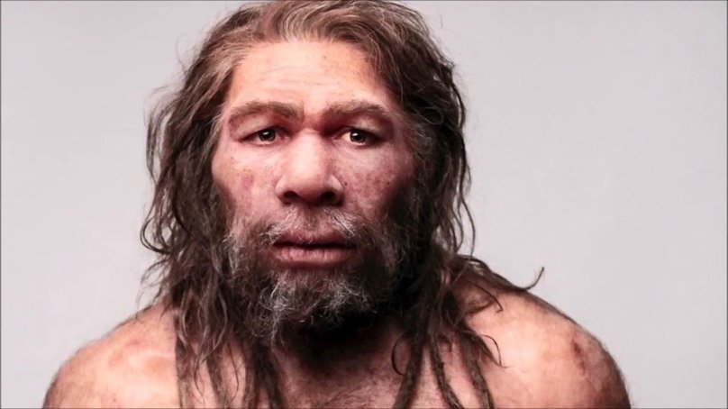 Неандерталец (homo Neanderthalensis)