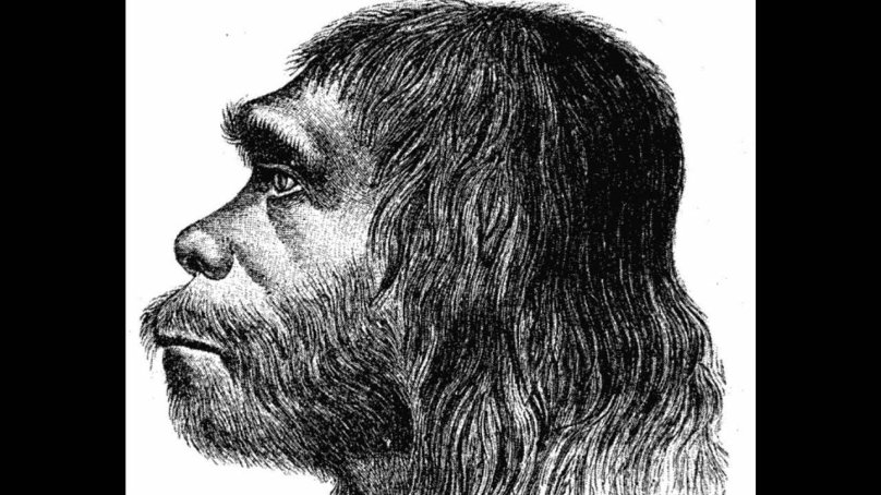 Хомо сапиенс неандерталенсис