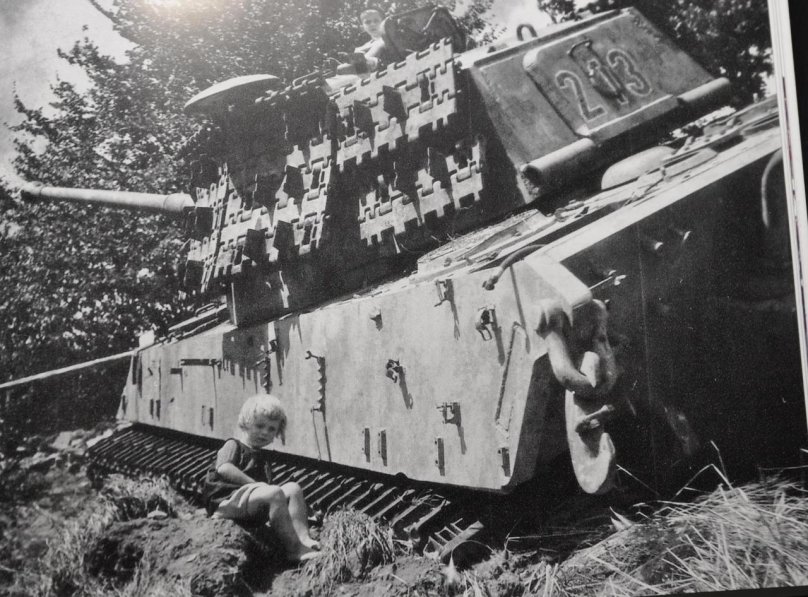 Королевские тигры ww2