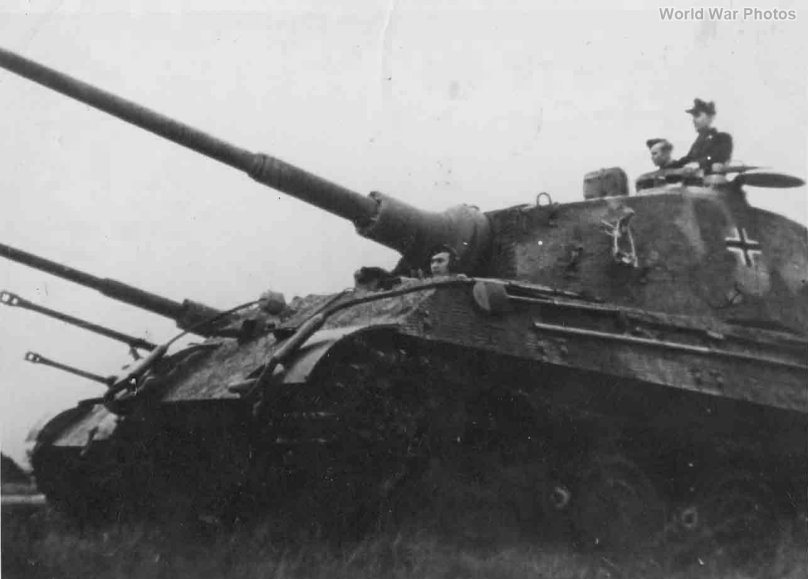 503 S PZ ABT King Tiger