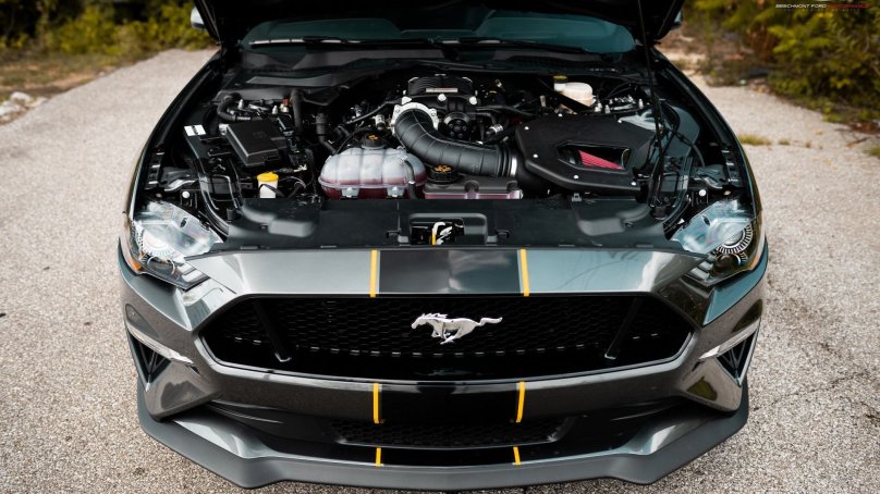 Ford Mustang 2020 ECOBOOST engine