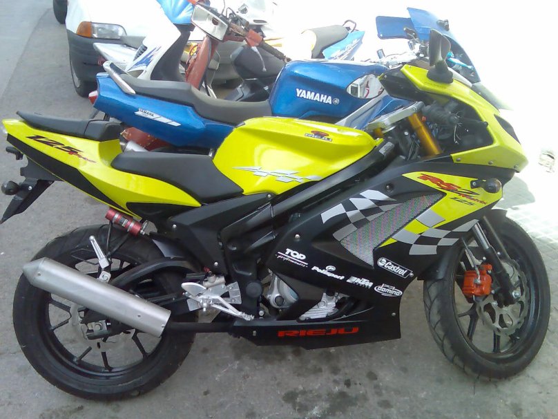 Alpha RS 11 Champ все цвета