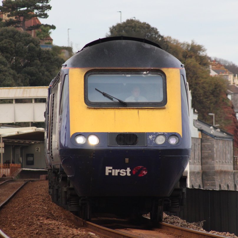 Кошка в поезде