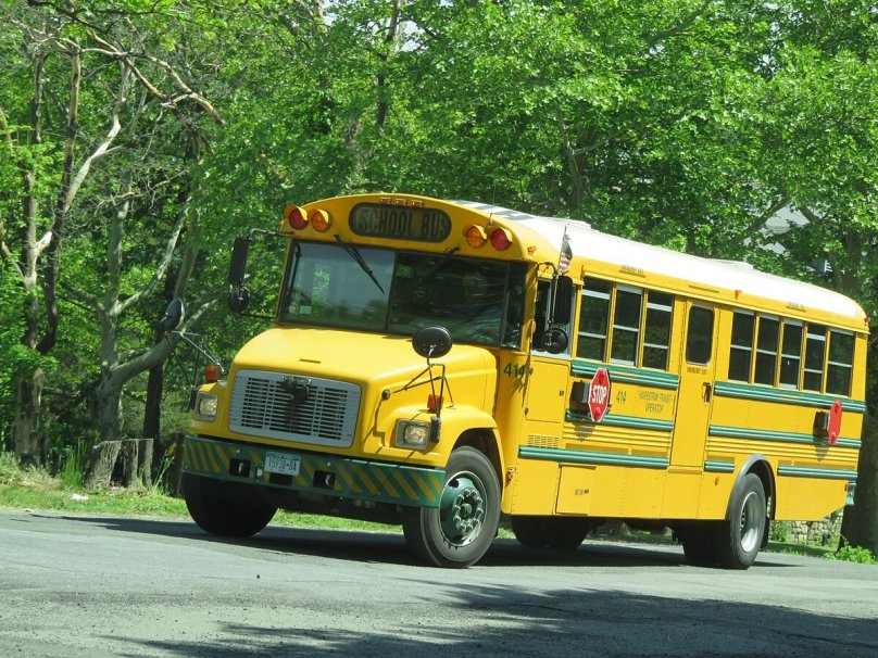 ПАЗ 3205 школьный автобус