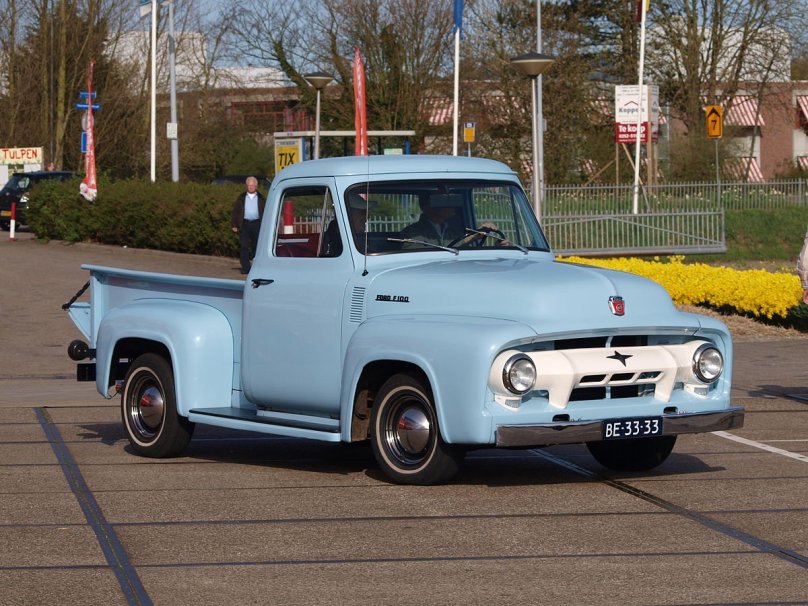 Ford f100 1955