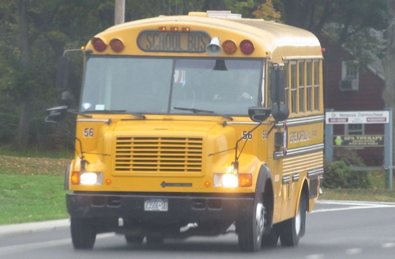 Школьный автобус Виста