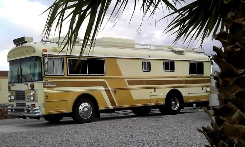 Автобус Блюберд фото