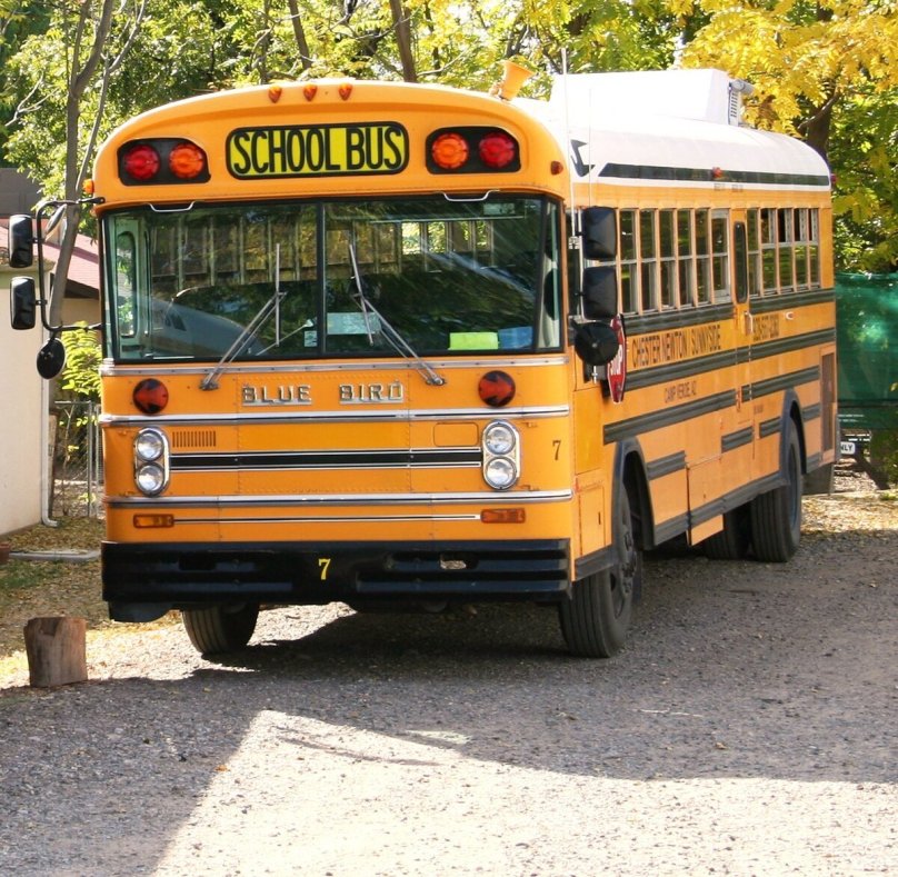 School Bus Blue Bird tc2000