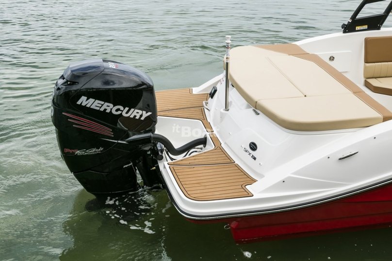 Searay 230ob габариты
