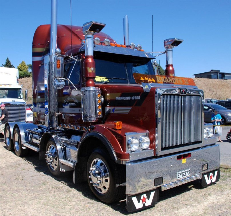 Грузовик Western Star 49x