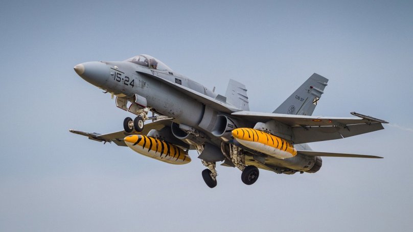 Douglas f/a-18 Hornet.