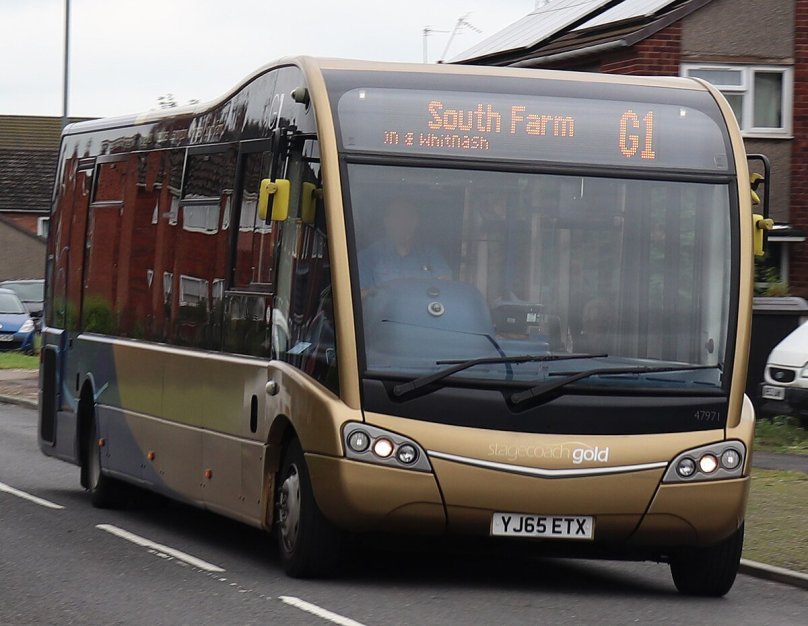 Голд бус автобус