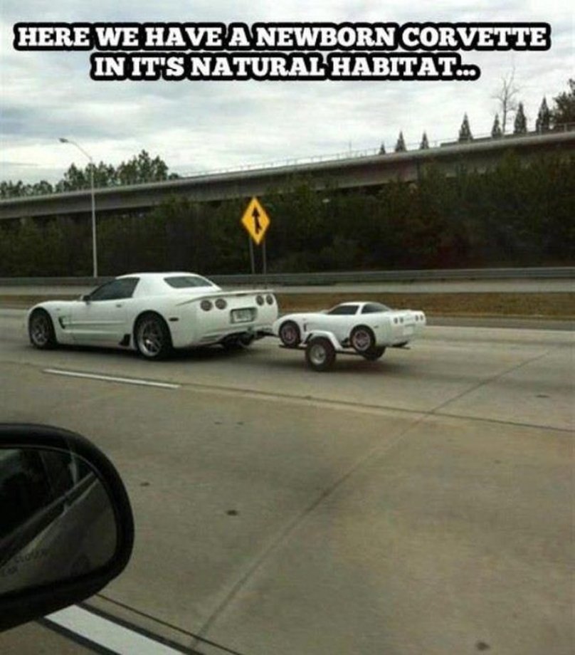 Смешные ситуации на дорогах