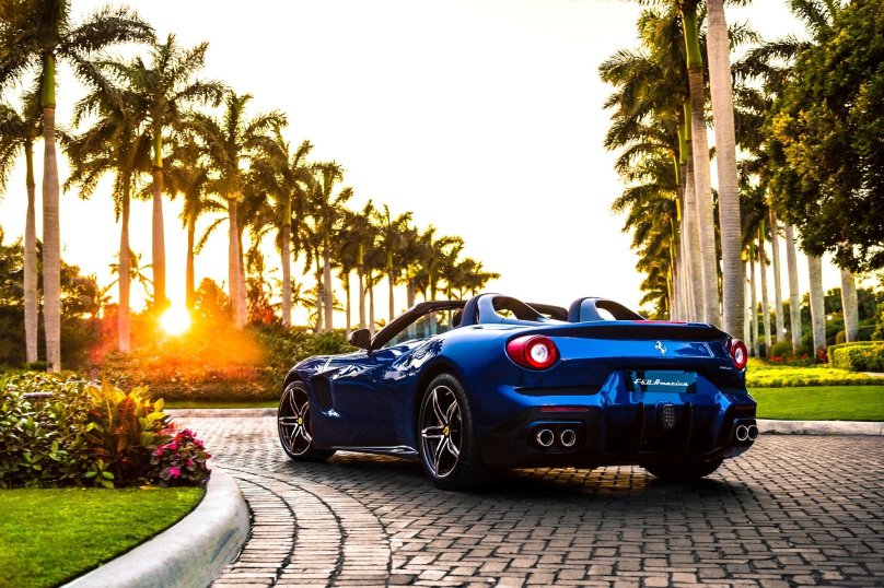 Феррари пальмы