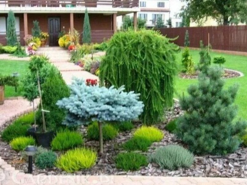 Хвойный рокарий миксбордер