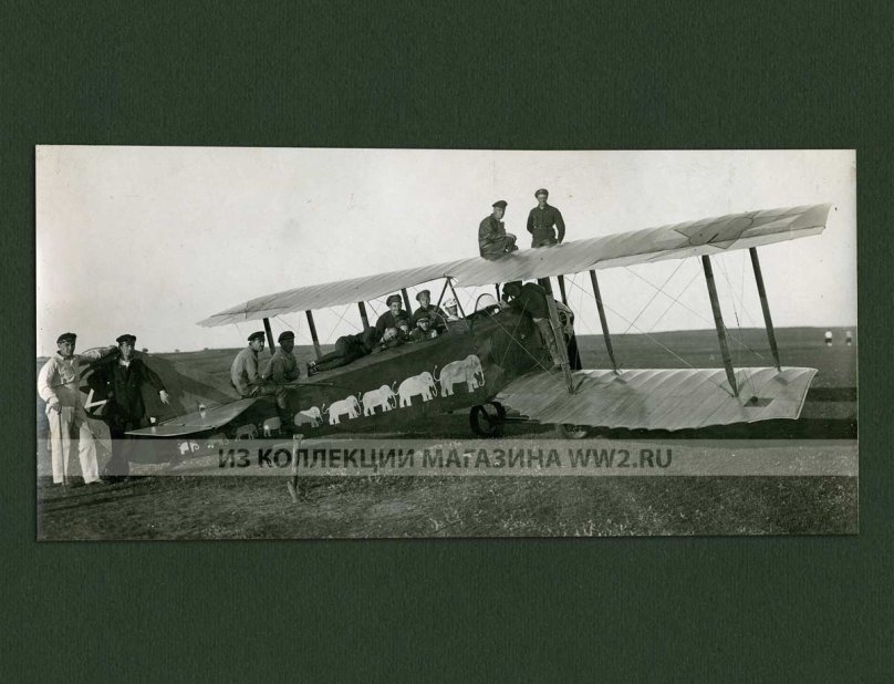 Рабоче-крестьянский красный воздушный флот