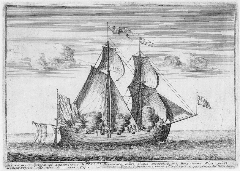 Шнява астрильд