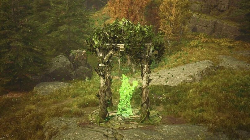 Испытание Мерлина Hogwarts Legacy Запретный лес