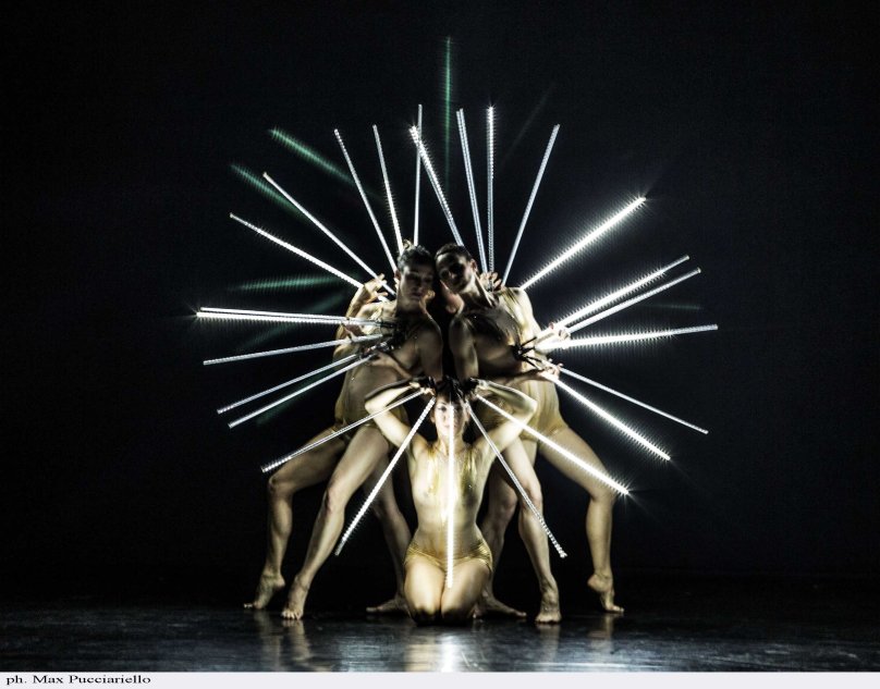 Pilobolus crystallinus