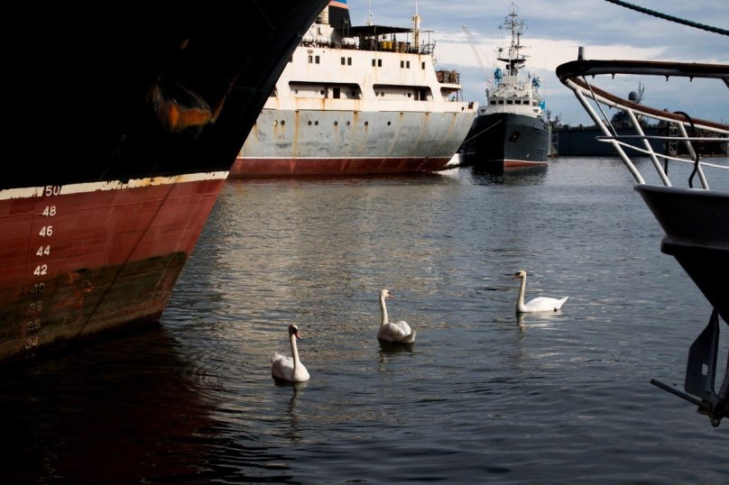 Балтийская коса судна