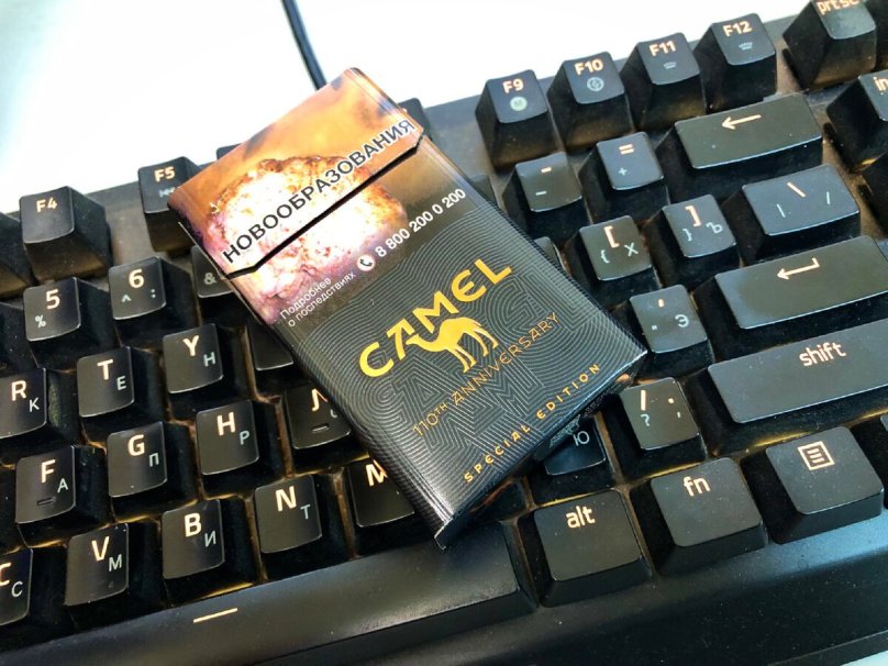 Кэмел компакт 100